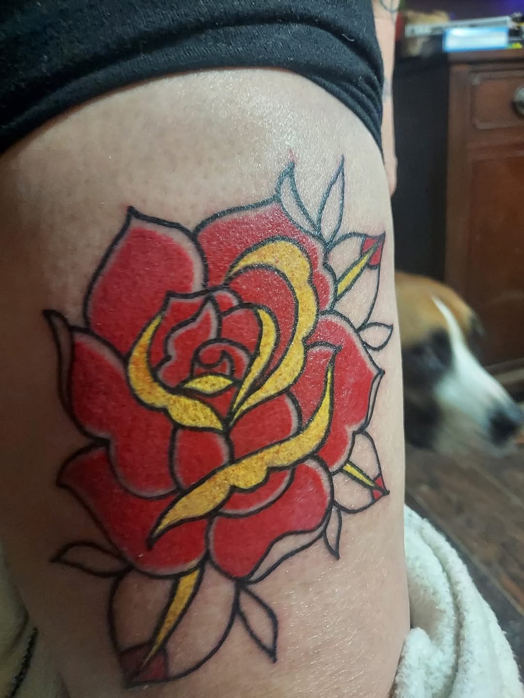 Traditional red rose with gold accents