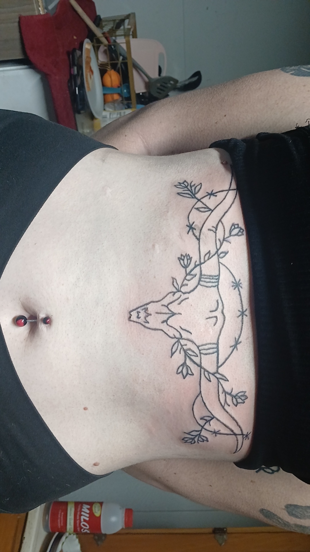 Floral and barbed-wire stomach linework